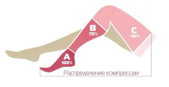 Как подобрать размер чулок Центр Компресс