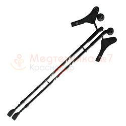Палки для скандинавской ходьбы Ergoforce E 0674