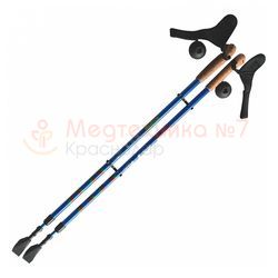 Палки для скандинавской ходьбы Ergoforce E 0673