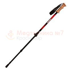 Палки для скандинавской ходьбы TRIVES TS-302