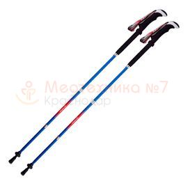 Палки для скандинавской ходьбы Armed STC037