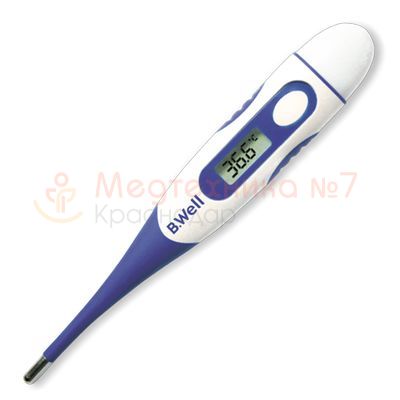 Термометр B.Well WT-04