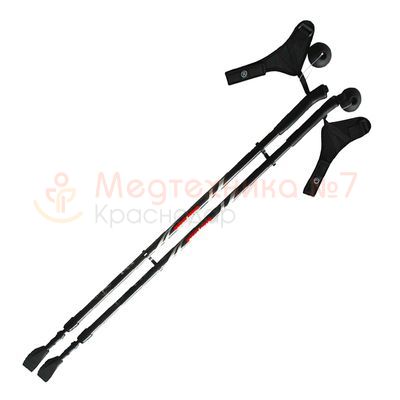 Палки для скандинавской ходьбы Ergoforce E 0674