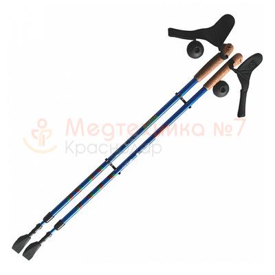 Палки для скандинавской ходьбы Ergoforce E 0673