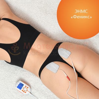 Использование совместно с моделью ЭНМС Феникс